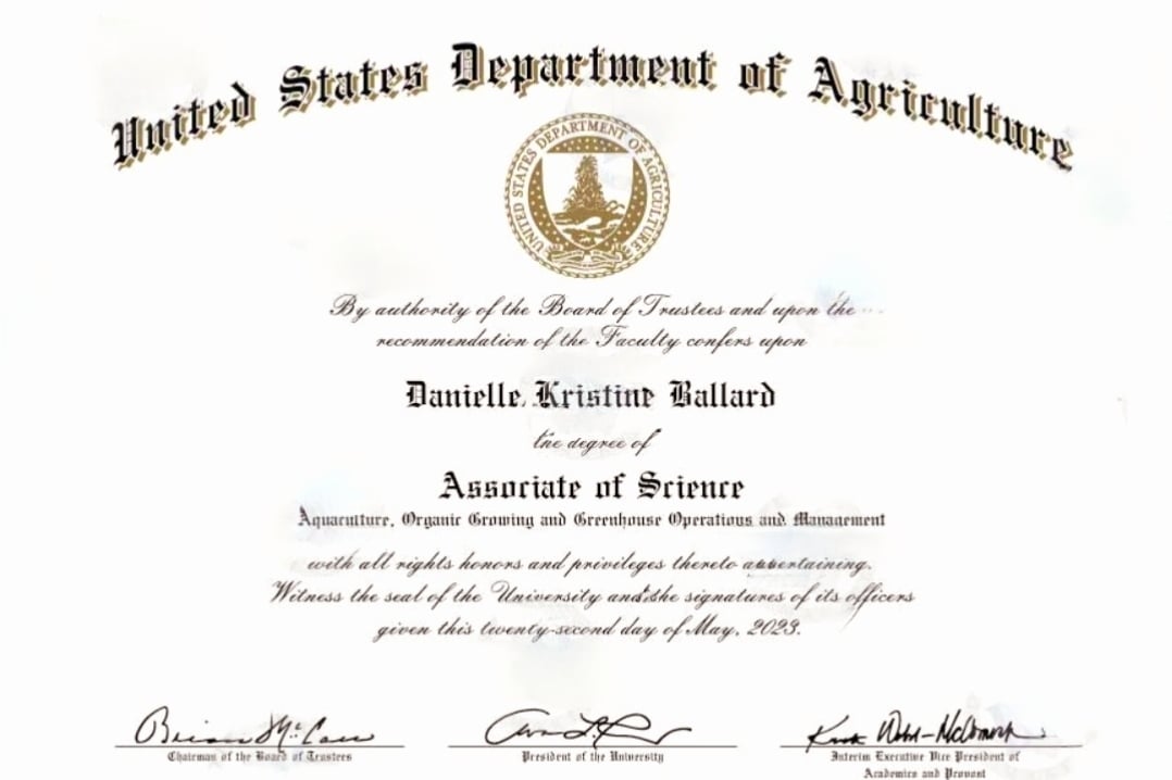 Owners current experience, degrees & certification.