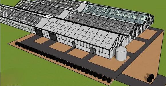 Commercial farming Greenhouse