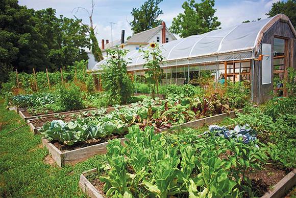 Traditional soil farming