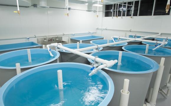 Aquaculture Tanks