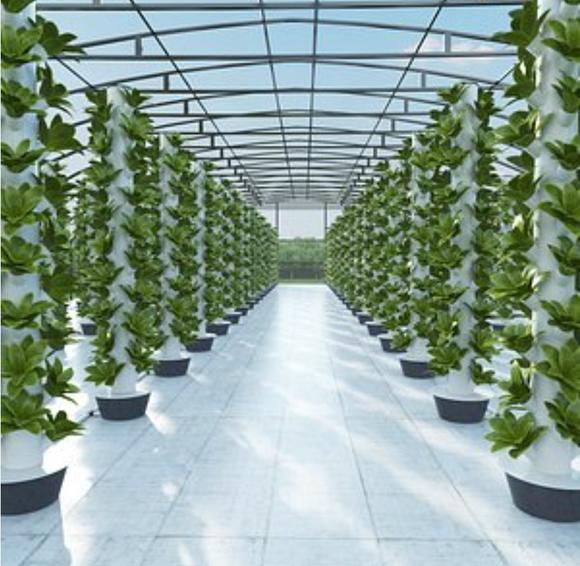 Planted towers