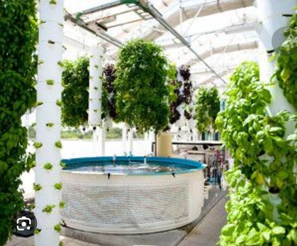 Greenhouse Systems