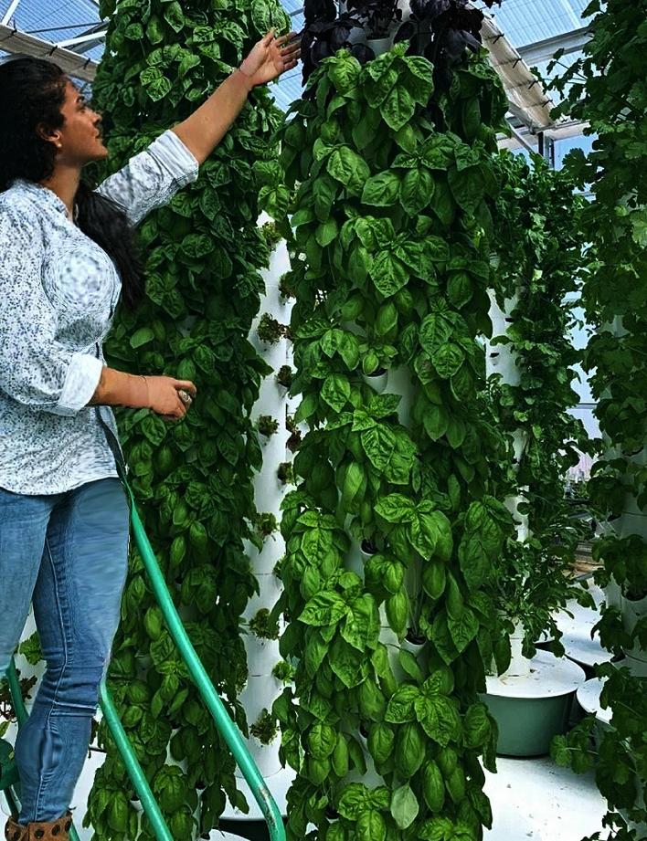 Danielle Kristine Wright working on vertical Aquaponics Towers