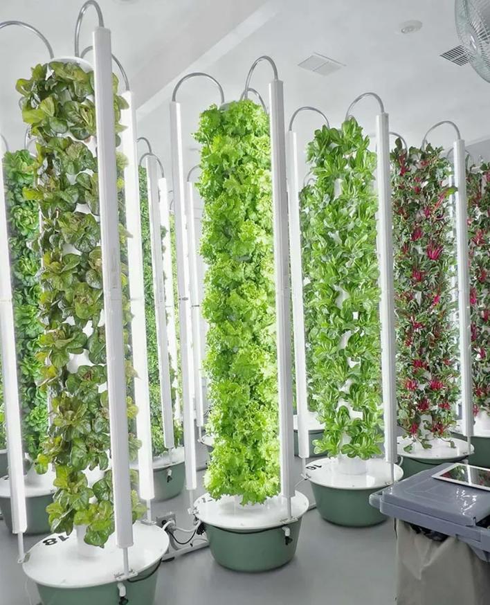 Vertical Aquaponics Towers