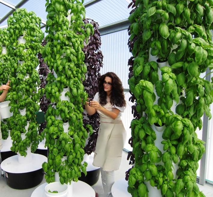 Danielle and Vertical growing